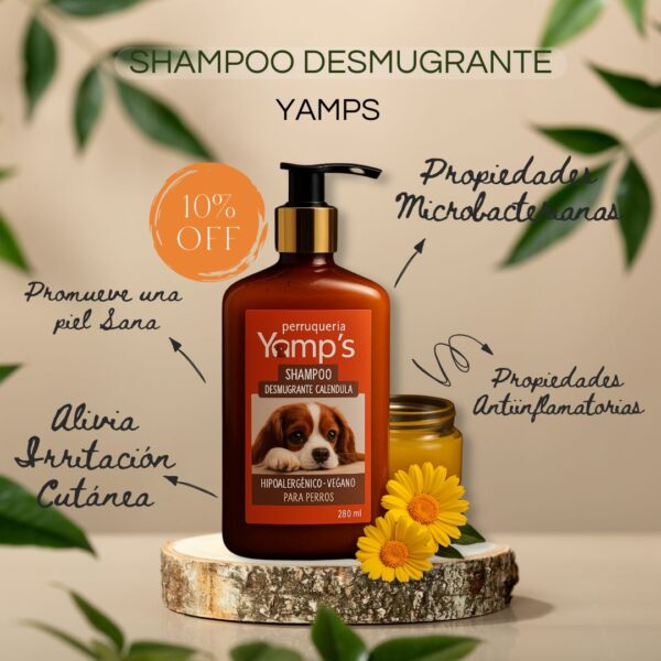 Shampoo Desmugrante Calendula