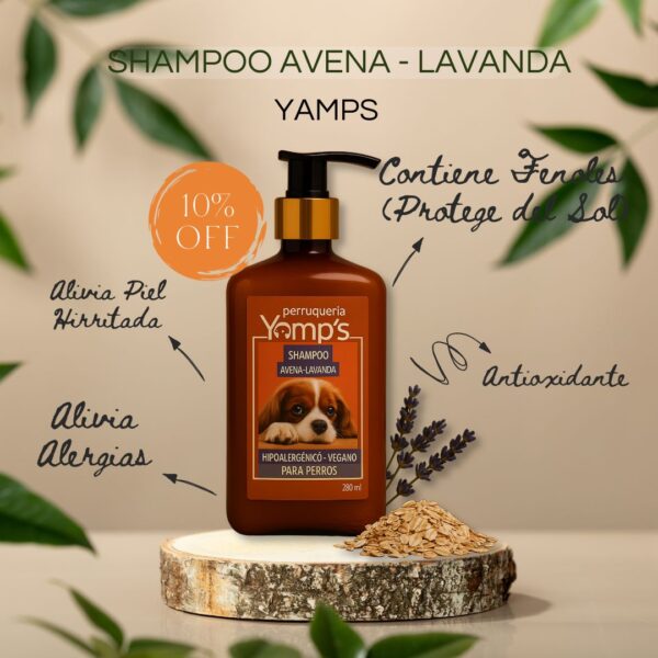 SHAMPOO AVENA LAVANDA YAMPS